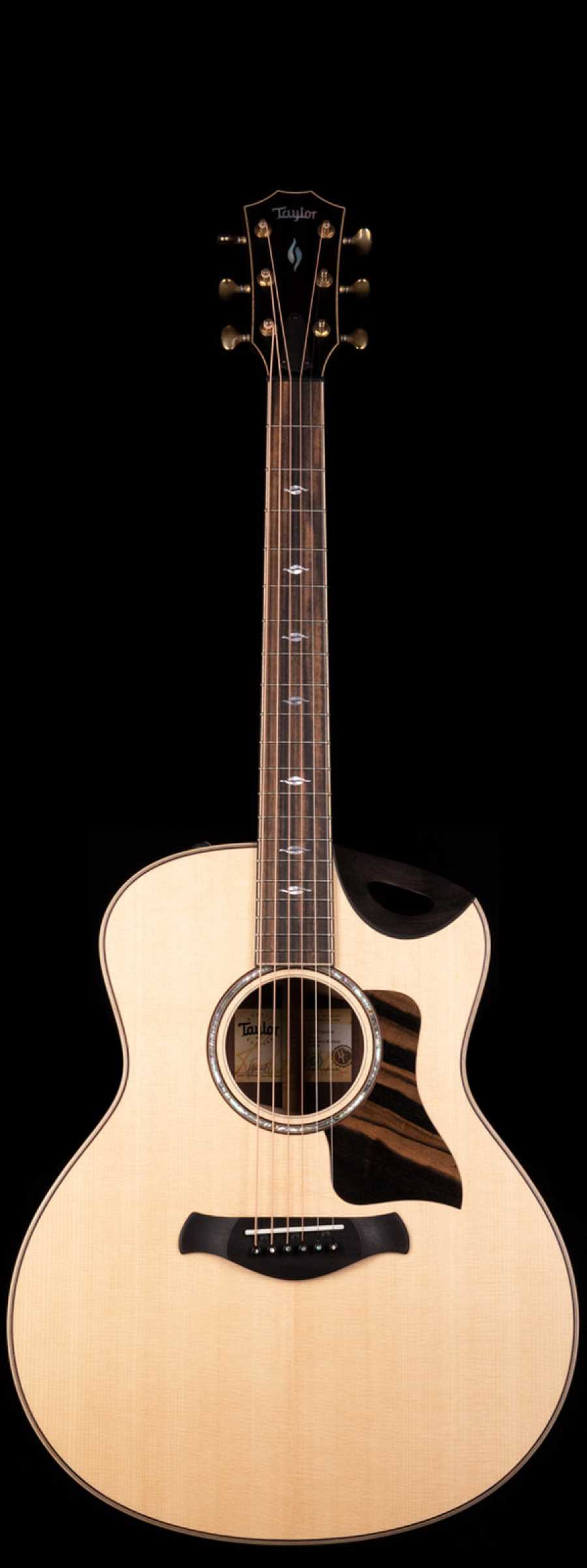 taylor soundport cutaway