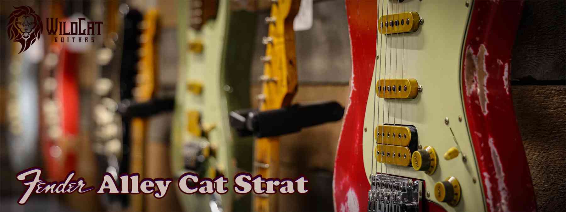 Amplifiers - WildCat Guitars Amplifiers - WildCat Guitars